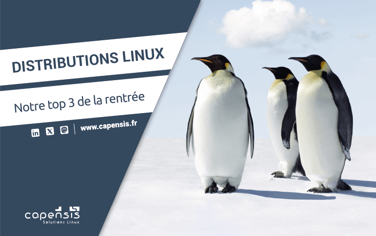 202408 - Article Distributions Linux